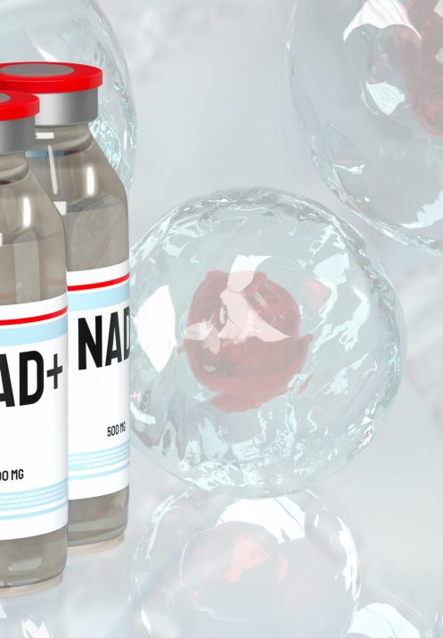 Nicotinamide adenine dinucleotide (NAD+) is a coenzyme found in cells that plays a crucial role in various biological processes, particularly those involved in energy metabolism.